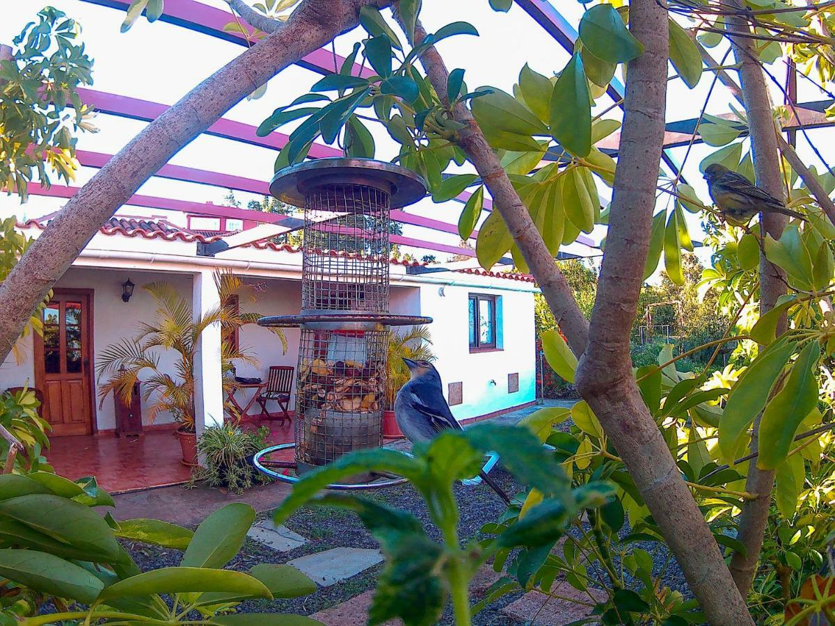 Dom wakacyjny La Casa De La Cartita